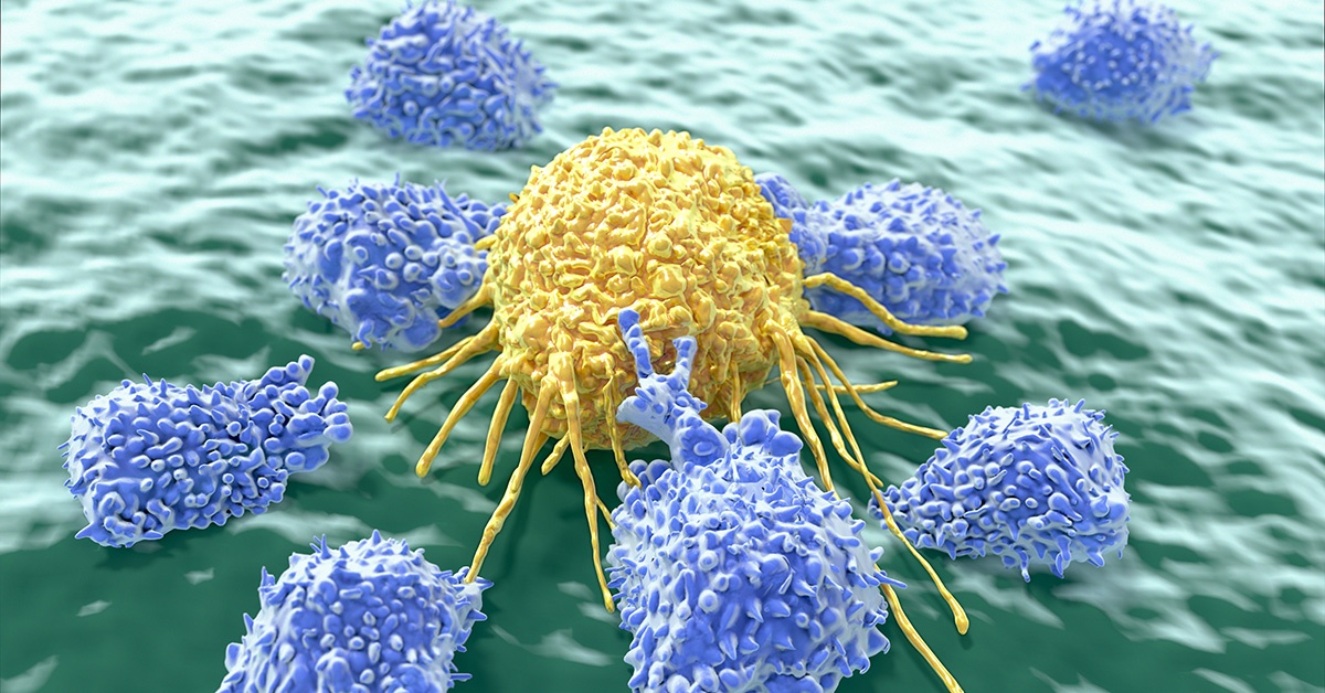 Cancer being attached by Lymphocytes
