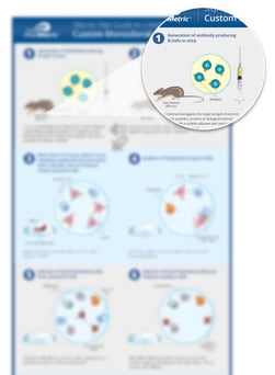 Download our Monoclonal Antibodies infographic