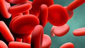 Hiuman red blood cells
