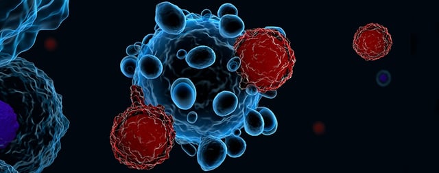T-Cells fighting cancer cell