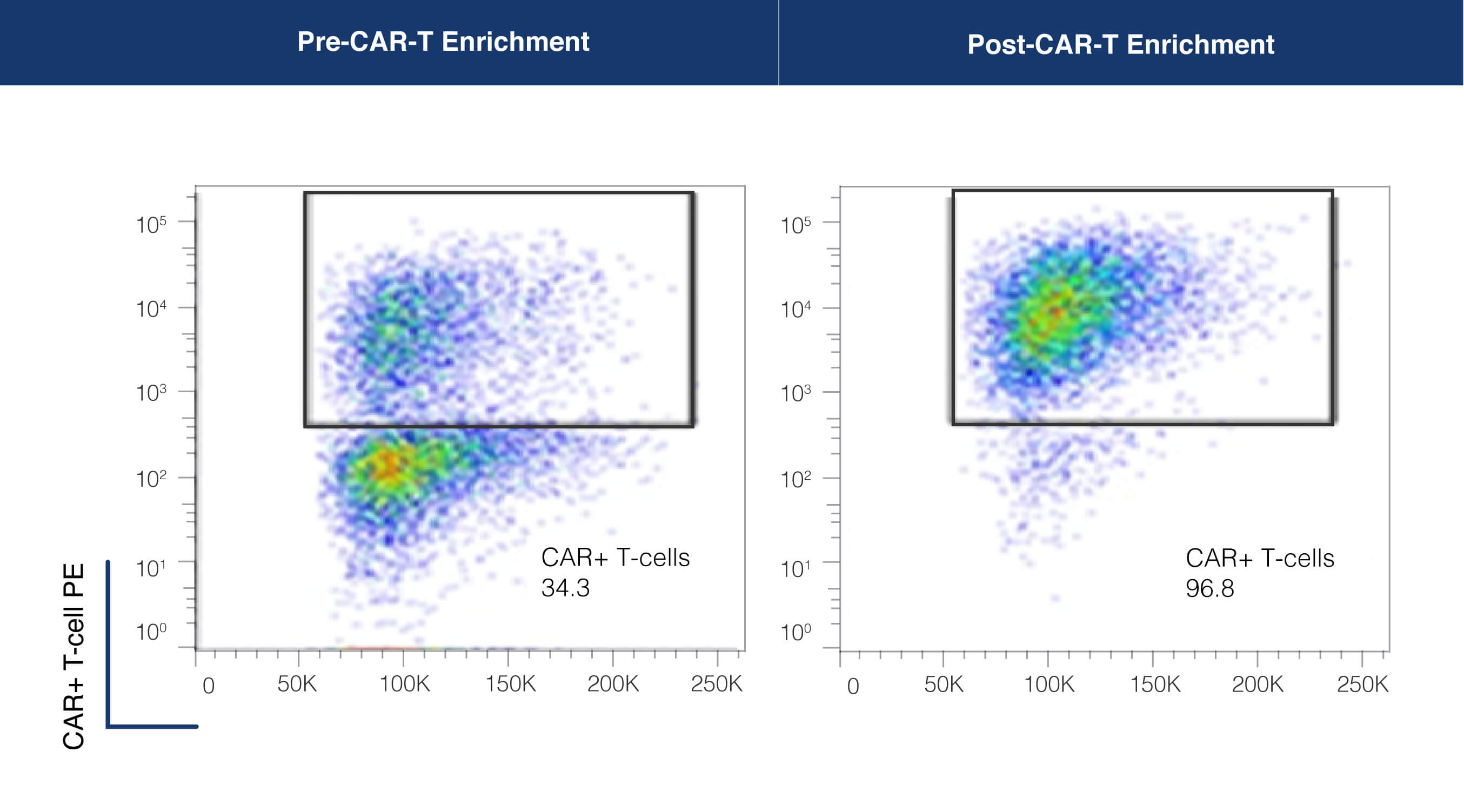 use-flow-cytometry-examine-car-t-treatment-t-cell-immunotherapies