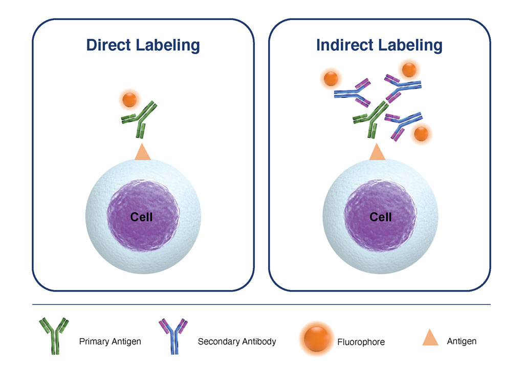 Direct vs. Indirect Labeling